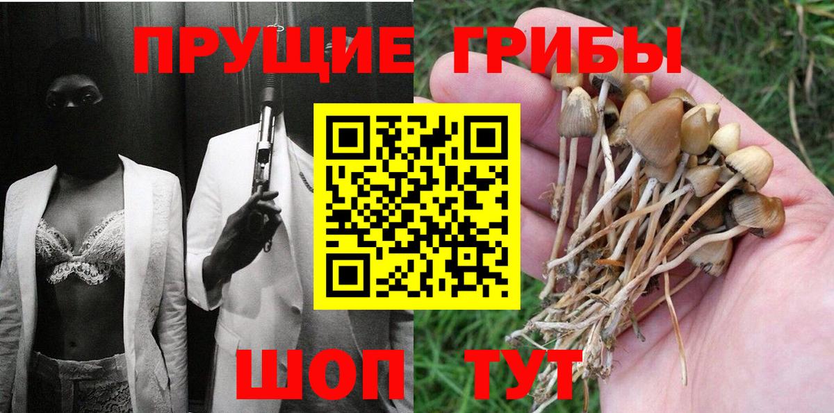 Псилоцибиновые грибы ЛСД Кострома